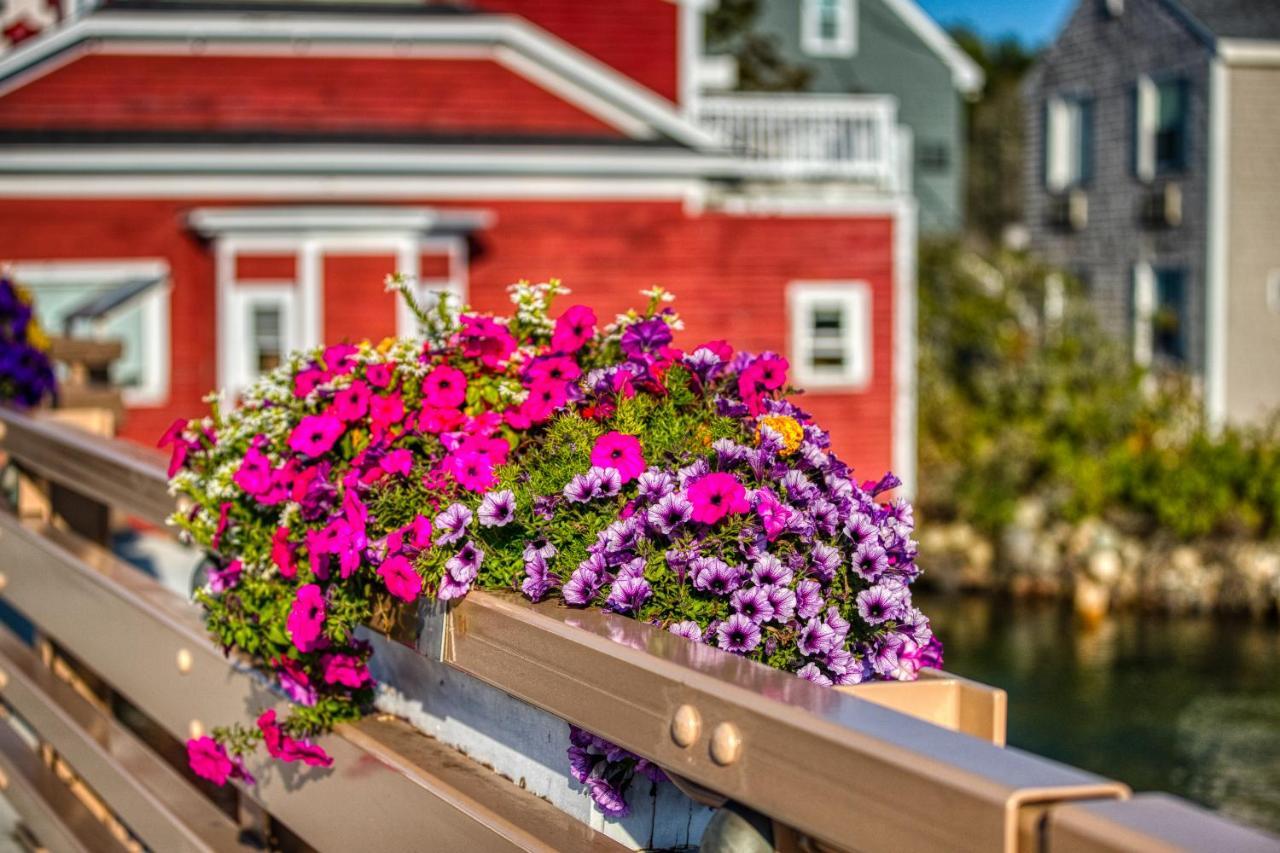 Countryside Colonial Kennebunkport Exterior photo